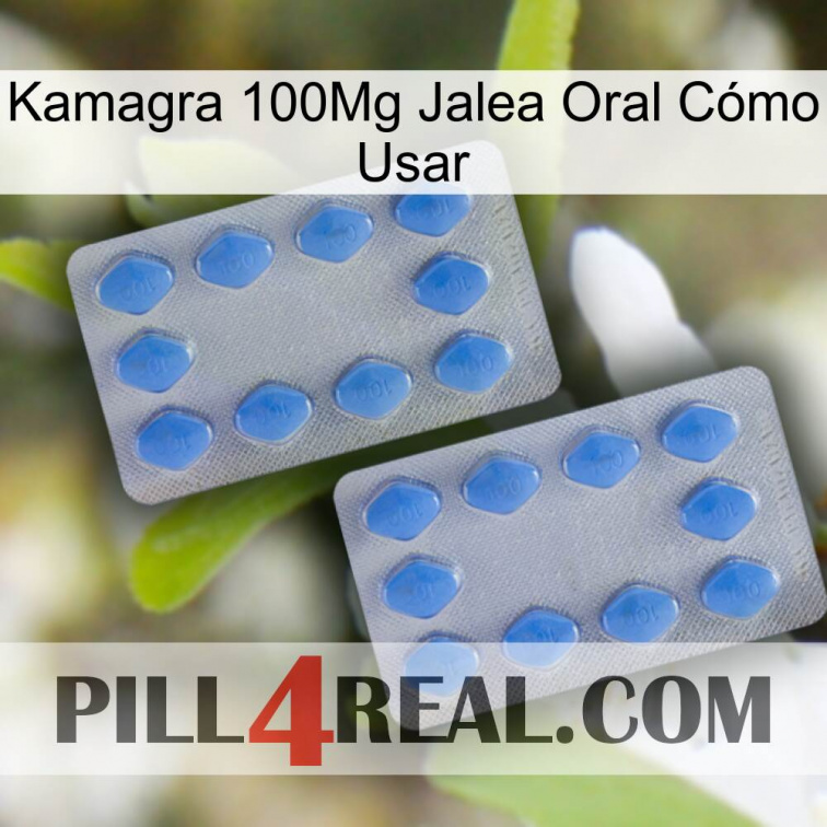Kamagra 100Mg Jalea Oral Cómo Usar 20